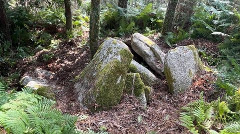 Vista del dolmen A Mina de Caxadas