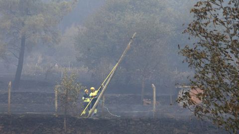Unos trabajadores levantan un poste de la luz para reponer tendido afectado por el fuego en Pantn
