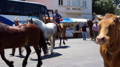 Vacas e cabalos na misa de San Adrin da Pia, en Carballo, hai 21 anos