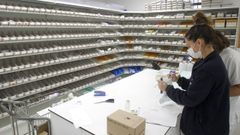 Trabajadores de la nueva farmacia del CHUF preparando medicaci�n