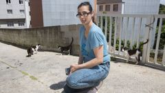 Laura cuida y da de comer a varios gatos
