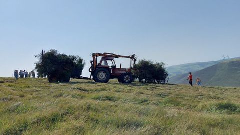 Un trineo, a la derecha, arrastrando una carga de madera al tractor, que la lleva a una pista, donde la recoge un camin