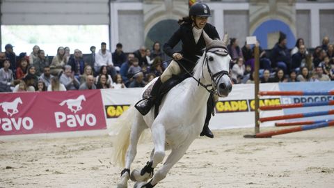 El concurso de saltos de obstáculos se celebró en el Pazo de Feiras de Lugo