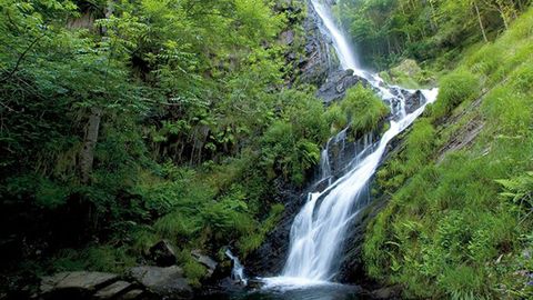 Ruta a la Seimeira, en Villanueva de Oscos