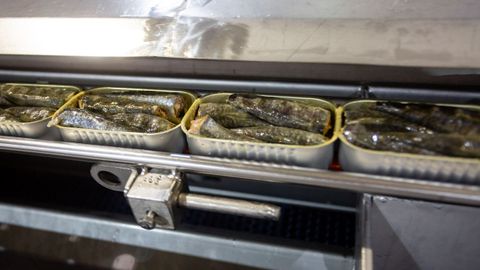 Visita a la conservera Orbe en el pol�gono de A Reigosa en Pontecaldelas.