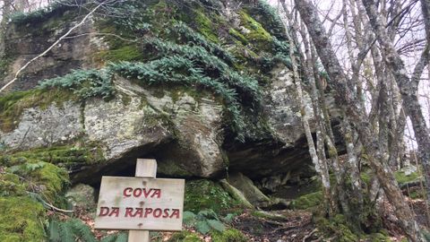 Hayedo de Busmayor. Durante la riuta hay varias cuevas para visitar