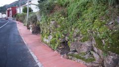 Los afectados dicen que son peligrosas para los peatones.