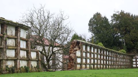 La voz de alerta fue dada por el personal de mantenimiento de parques