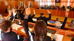 Pero ordinario de enero del ayuntamiento de Vigo