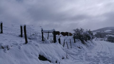 Los monten Asturianos amanecen blancos