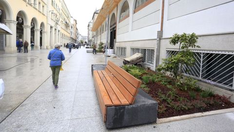 Los bancos y los parterres vegetales humanizan la calle 