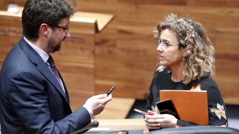 La diputada de Ciudadanos en la Junta General Susana Fernndez (d) y el consejero de Industria, Empleo, y Promocin Econmica, Enrique Fernndez (i),