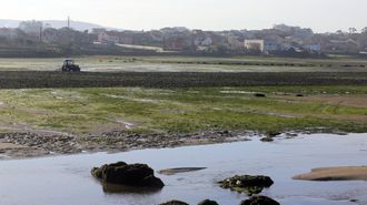 El controvertido proceso se est� produciendo en el seno de la Cofrad�a de Vilanova