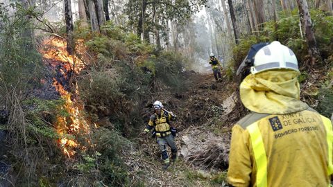 Brigadas de extinción de Medio Rural, en un incendio ocurrido este verano en Arousa