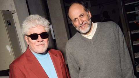 Pedro Almodvar y Luca Guadagnino