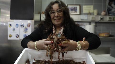 Marisco y pescado en la plaza de Lugo, en A Corua