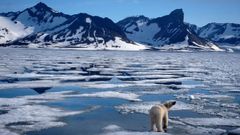 La Tierra se calentar� tres grados este siglo a pesar de todo