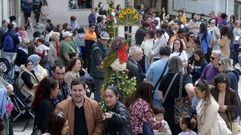 Las im�genes de la celebraci�n de Os Maios en Monforte