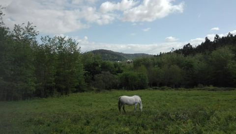 La finca de Vedra que les enamoró y donde se decidieron a llevar adelante su deseo de tener una casa de paja