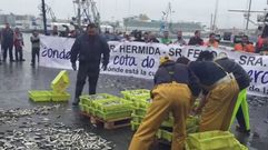 La flota del cerco tira 500 kilos de anchoa en A Coru�a