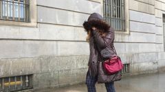 Suspendido por cuarta vez el juicio contra Rosa Mar�a Charl�n por blanqueo