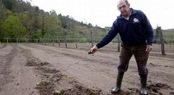 Manuel Touceda muestra la parcela dedicada a la jud�a afectada en el �ltimo suceso, esta Semana Santa.