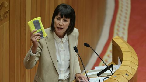 Ana Pont�n ironiz� durante su intervenci�n con el chaleco reflectante�que usaba Rueda durante la ola de incendios