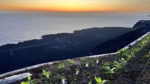 Una  de las dos fajanas creadas sobre el mar tras caer la lava