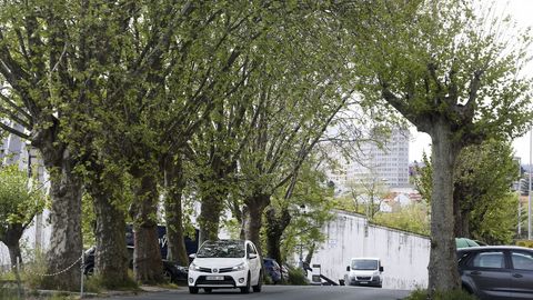 Esteiro. Los estudiosos aseguran que se conserva la arboreda original, al menos en especies: magnolias y plataneros.