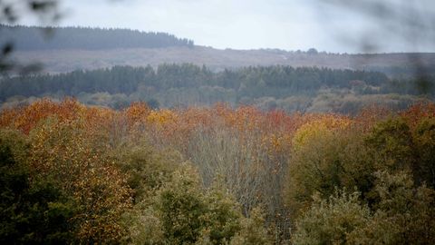 As� es el Cami�o Primitivo a su paso por el municipio de Lugo