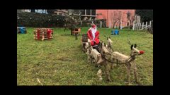 Concurso  Decora a tua aldea  del Concello de Forcarei