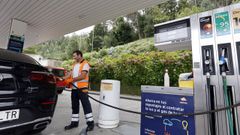 Eucaliptos y maleza rodean los dispensadores de combustible