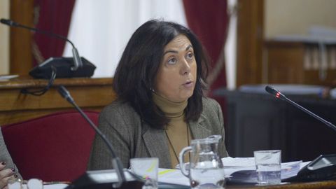 Elena Candia es la actual l�der del PP en el municipio de Lugo. Ya fue regidora de Mondo�edo, de donde es originaria. Contin�a siendo vicepresidenta del Parlamento, aunque tendr� que renunciar cuando sea elegida alcaldesa. Licenciada en Derecho por la UDC
