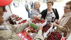 Un puesto de venta en una edici�n anterior de la Festa da Cereixa e do Aceite