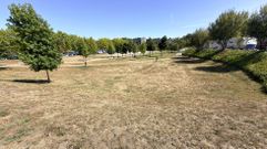 El color marr�n ocupa el lugar de la hierba vede en parques como el de la antigua Tafisa en Pontevedra