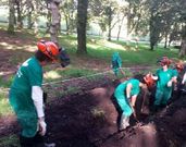 Los primeros trabajos fueron para la recuperaci�n de los manantiales. 