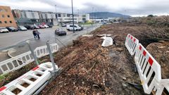 �rboles talados para construir viviendas en Navia.