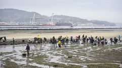 Mariscadoras limpiando una de las zonas productivas de la r�a de Pontevedra que ser�n objeto de estudio la pr�xima semana