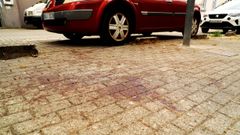 Uno de los charcos de sangre que a�n se pueden ver este lunes en la traves�a de Baz�n, en Ferrol, donde el domingo una mujer result� herida en una reyerta.
