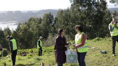 Programa Comercio Verde