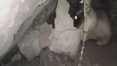 Rescate de una gata atrapada en Vilagarc�a