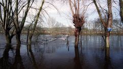 La crecida del ro Avia mantena bajo el agua la zona de A Quinza (Ribadavia) el 9 de diciembre del 2000