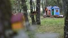 El Bosque M�xico de Bonxe acoge una actuaci�n musical por la noche