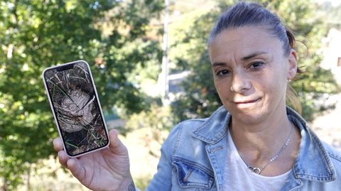 Ana Sestelo enseña una foto del nido de las velutinas que le atacaron cuando desbrozaba en Forzáns, Ponte Caldelas