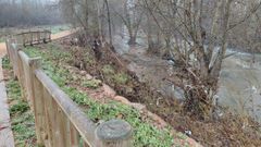 Restos de pl�sticos en las ramas de los �rboles de la ribera que alcanz� la crecida