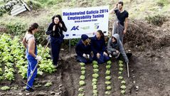 Los voluntarios, ayer en Mux�a.