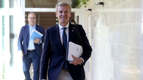 Alfonso Rueda, presidente de la Xunta