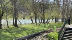 Los participantes en el curso aprender�n a trabajar en la instalaci�n y mantenimiento de zonas verdes