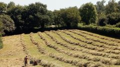 A la hierba en Pedreo, en la parroquia de San Claudio