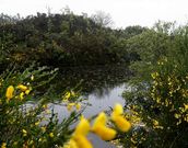 <span lang= es-es >A</span>